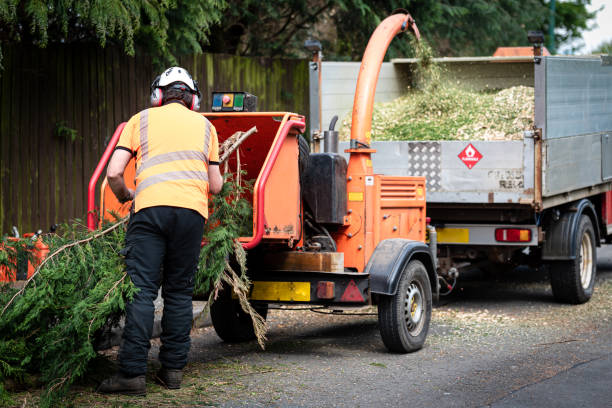 Best Lawn Watering Services  in Fairfax Station, VA