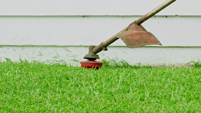 Best Lawn Irrigation Installation and Maintenance  in Fairfax Station, VA