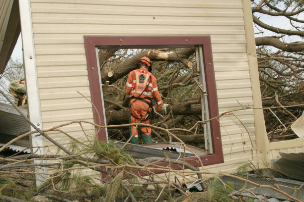 Best Tree Removal  in Fairfax Station, VA