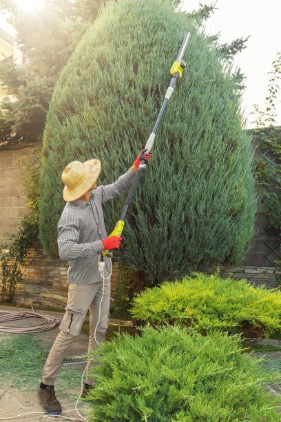 Best Leaf Removal  in Fairfax Station, VA